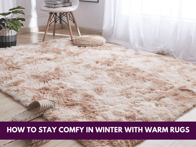 Home Decor Tips: How to Stay Comfy This Winter with Warm Rugs