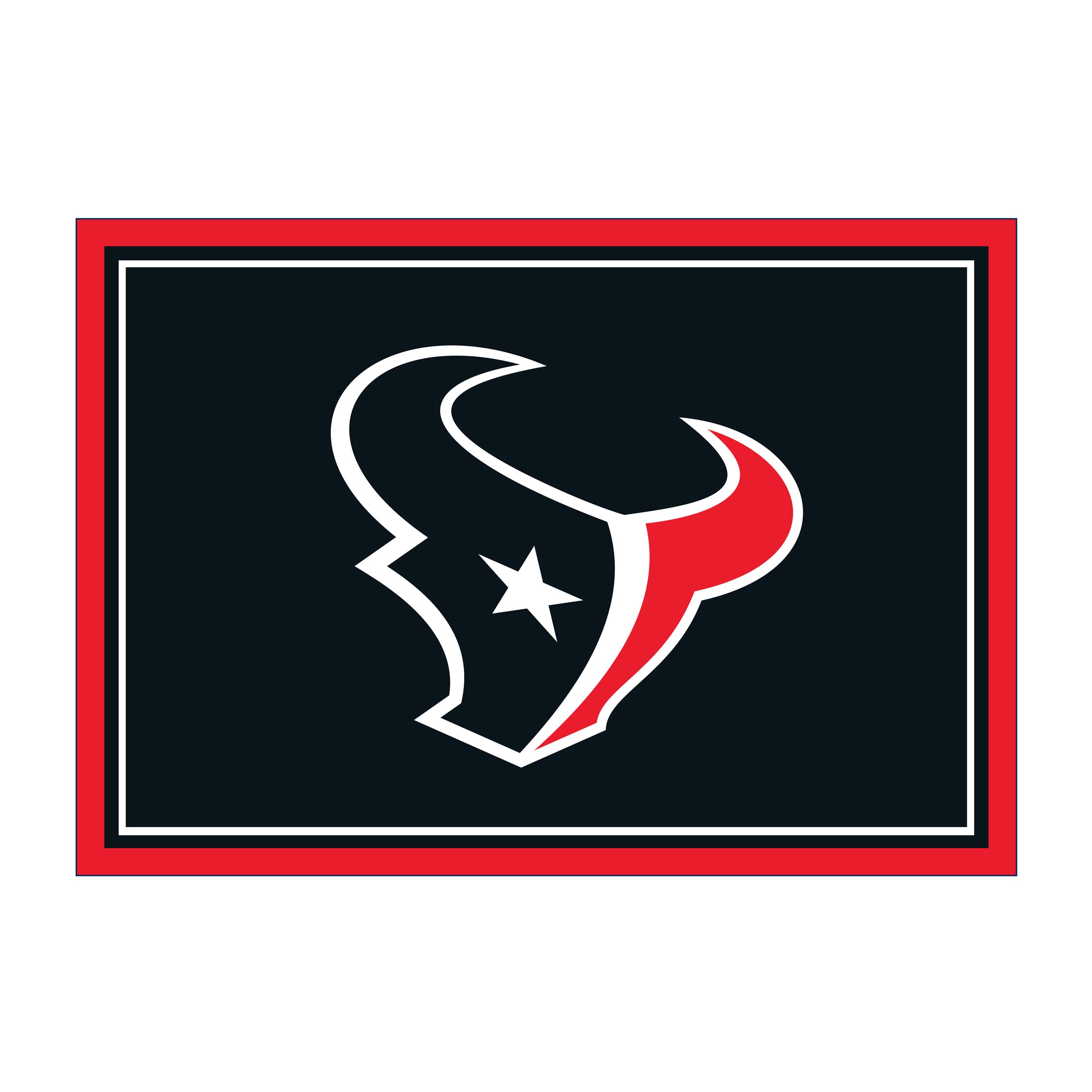 Houston Texans Spirit