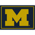 University Of Michigan Spirit
