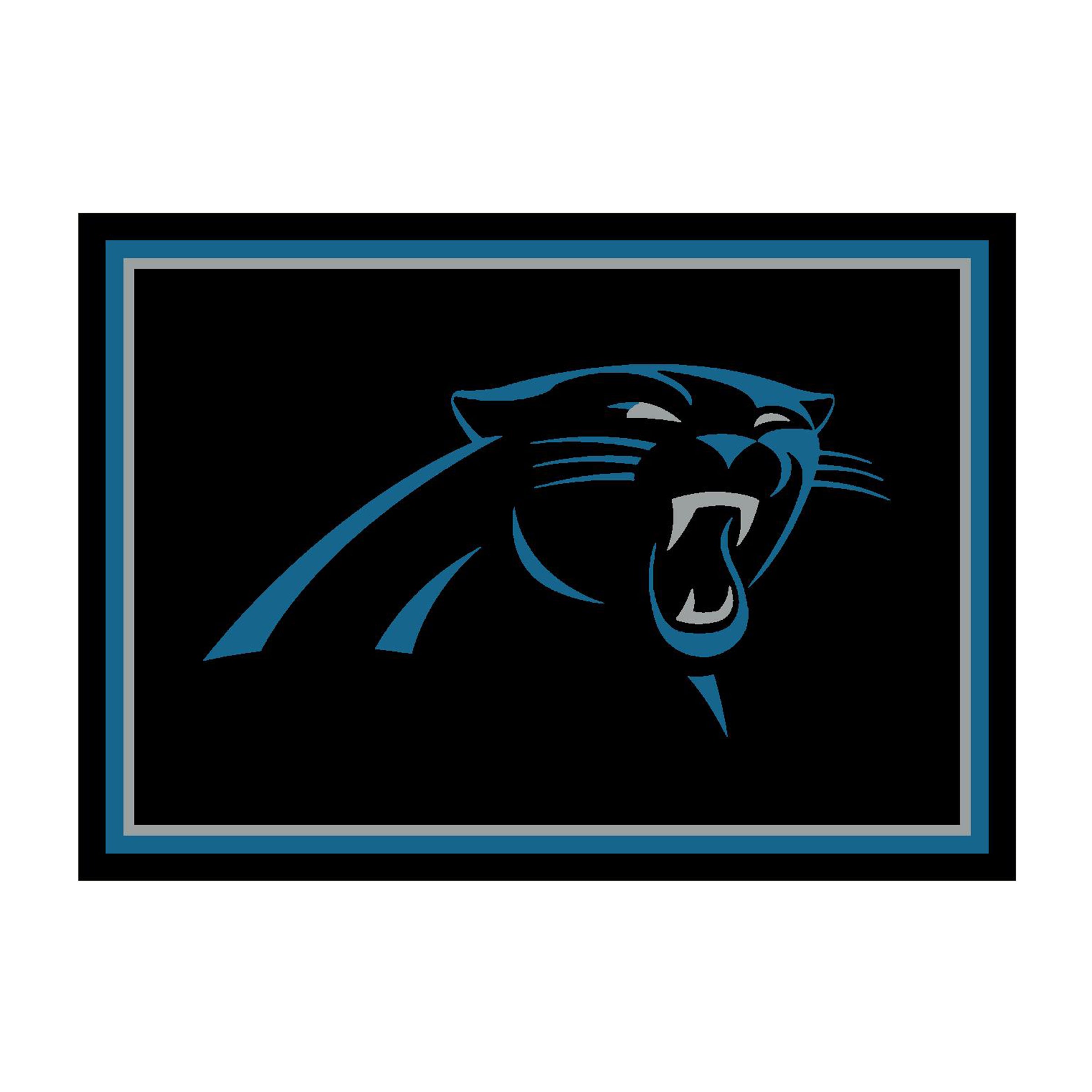 Carolina Panthers Spirit