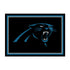 Carolina Panthers Spirit