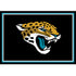 Jacksonville Jaguars Team