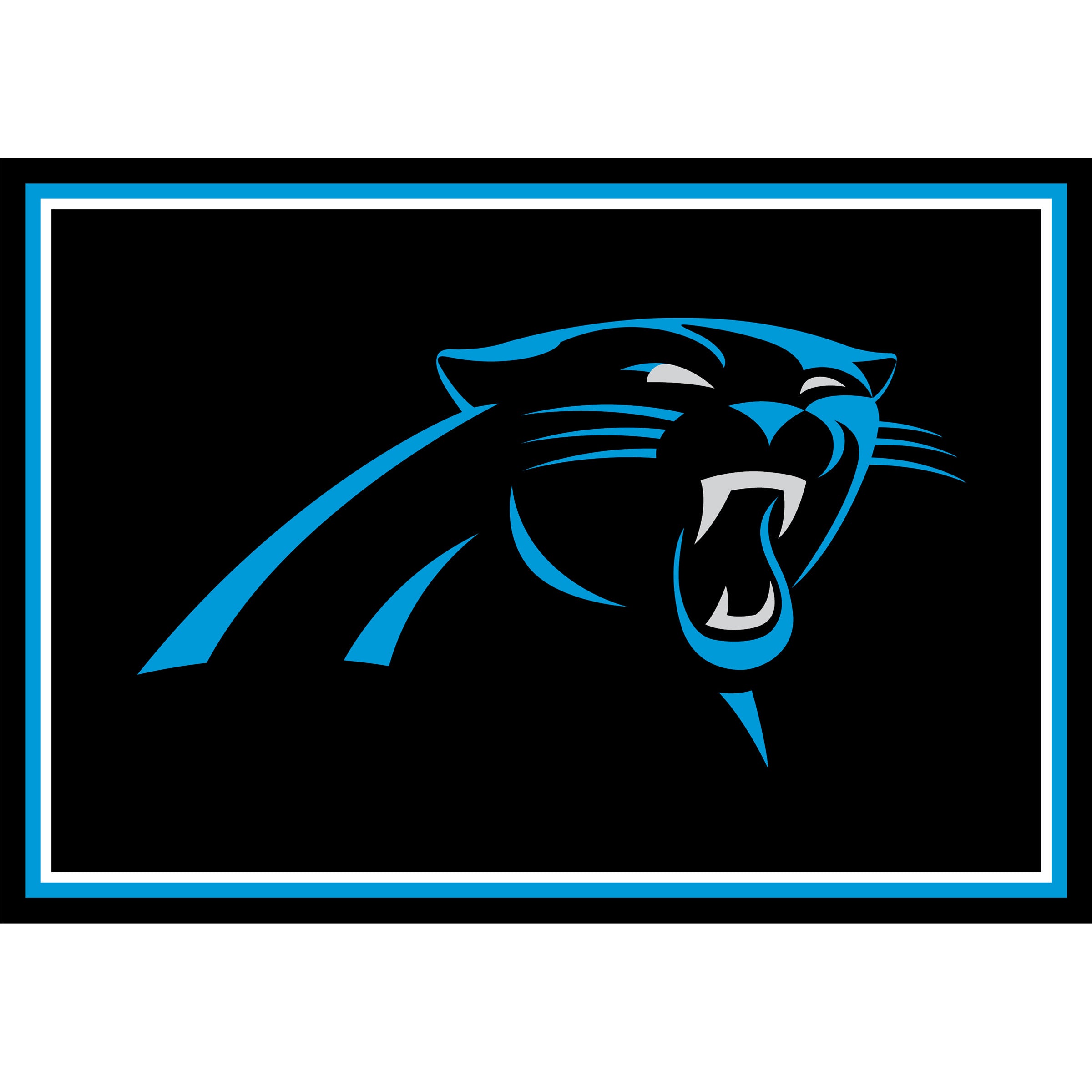 Carolina Panthers Team