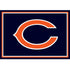 Chicago Bears Team