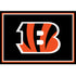 Cincinnati Bengals Team