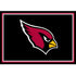 Arizona Cardinals Team