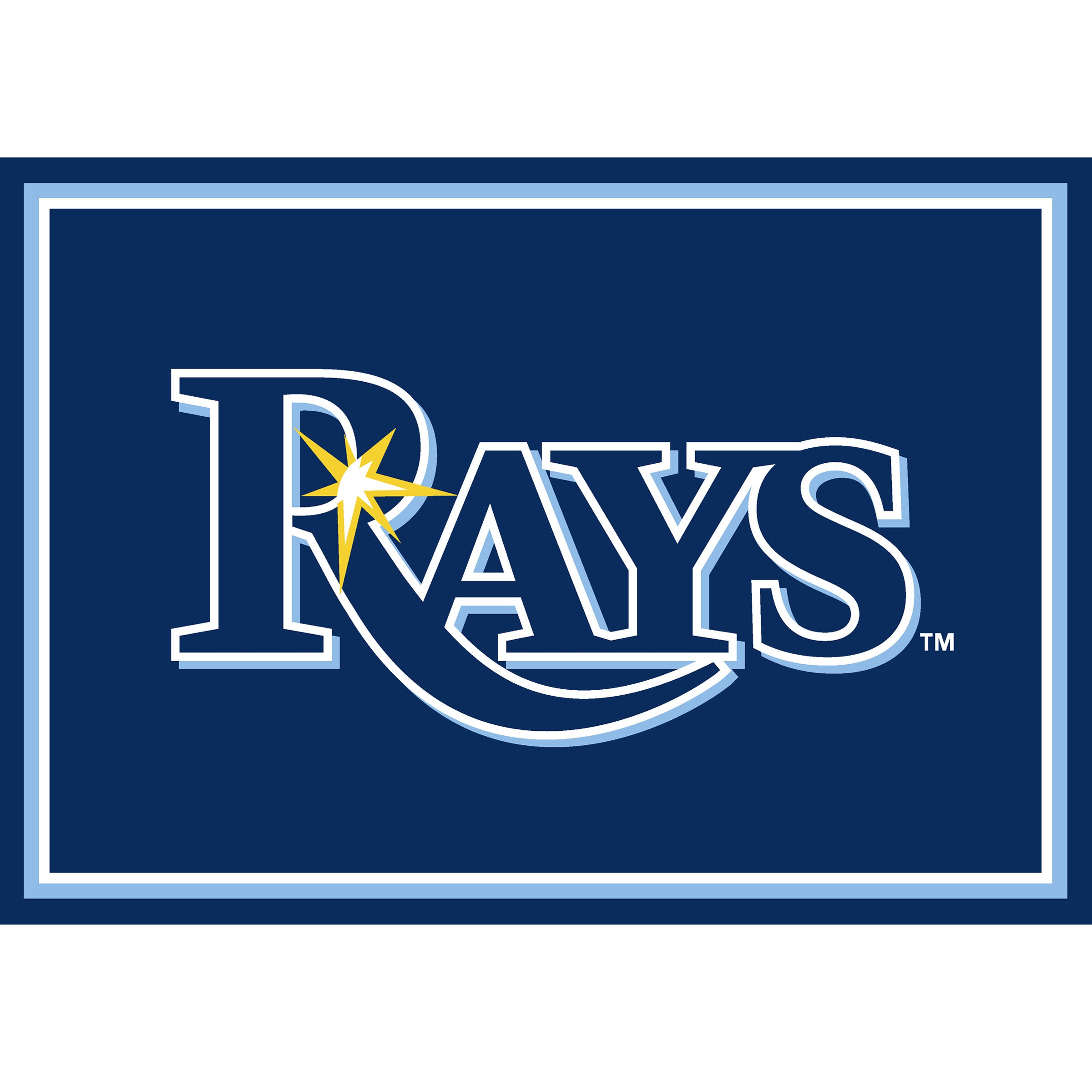 Tampa Bay Devil Rays Team