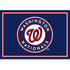 Washington Nationals Team