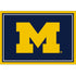 University Of Michigan Team