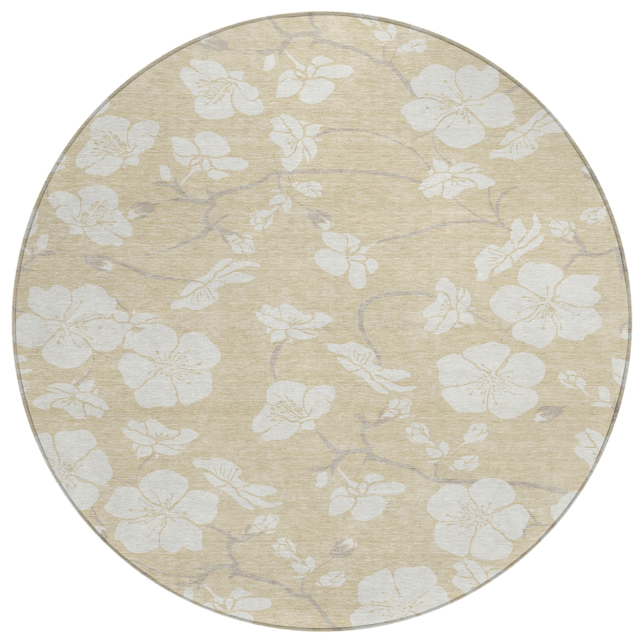 Chantille ACN1032 Beige