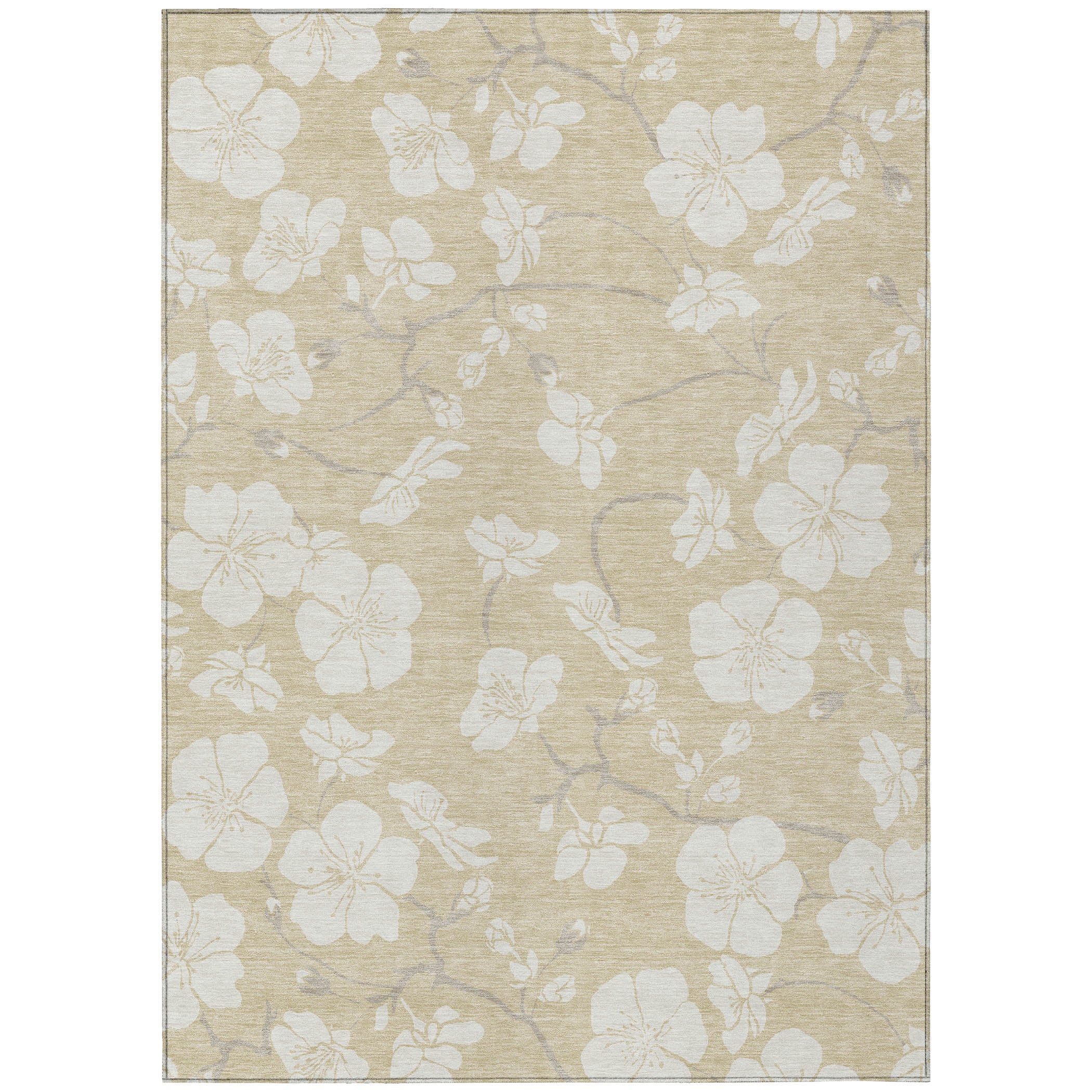 Chantille ACN1032 Beige