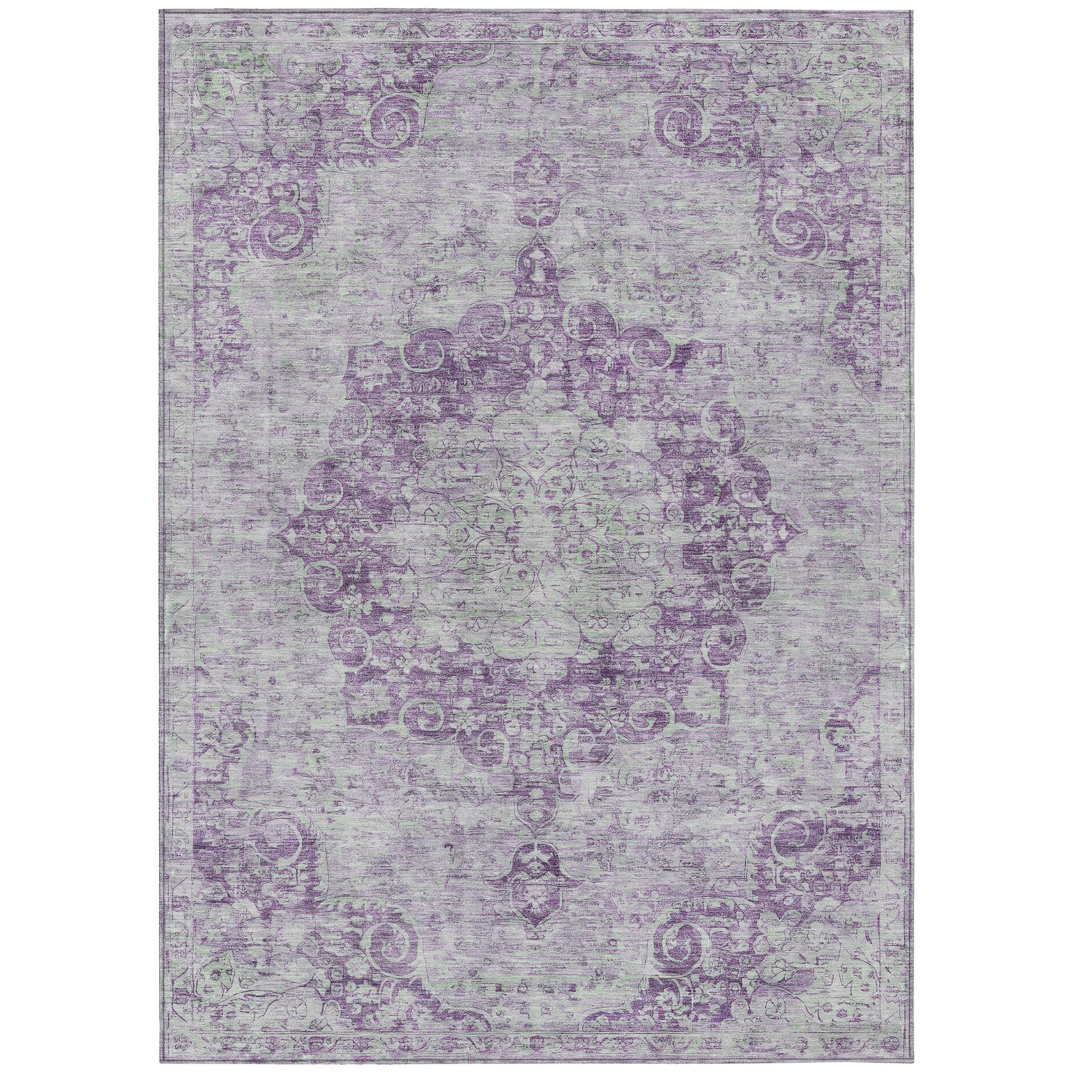 Chantille ACN1238 Purple