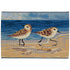 Esencia Sandpipers Beige