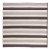 Stripe It Silver TR09