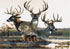 Realtree Monster Buck 6 Brown