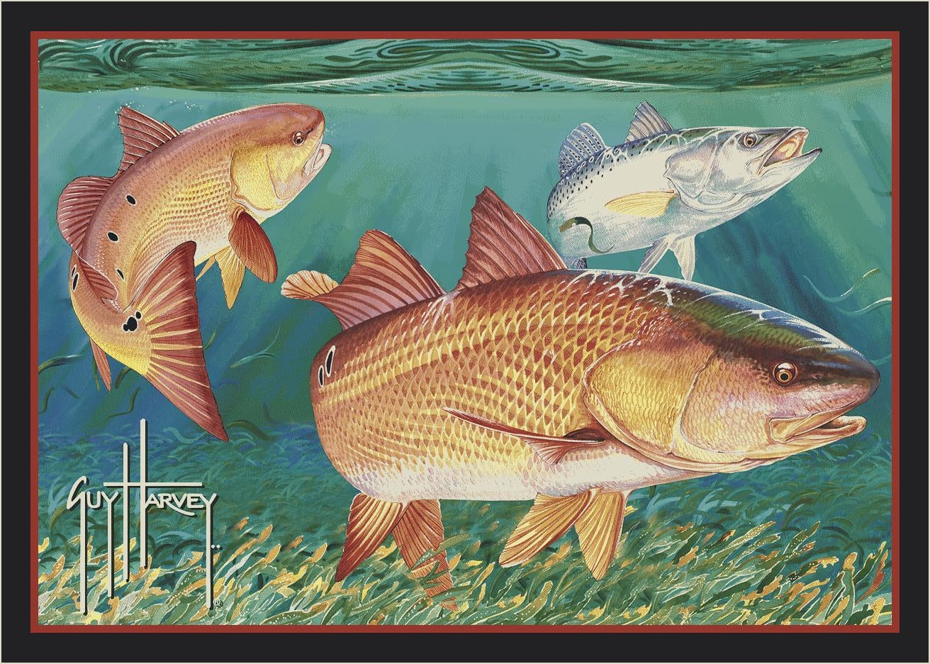 Guy Harvey Redfish Green